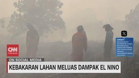 VIDEO: Kebakaran Lahan Meluas Dampak El Nino