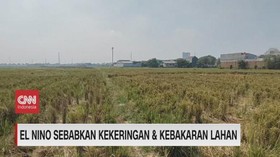 VIDEO: El Nino Sebabkan Kekeringan & Kebakaran Lahan