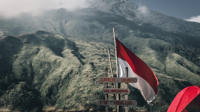 Foto: Pexels.com/Iqbal Kurniawan