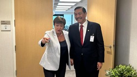 Ada Luhut di Balik IMF Setop 'Usik' Larangan Ekspor Nikel Cs RI