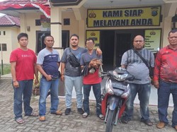 Curi 300 Ekor Ayam, Pria di Padang Sidimpuan Ditangkap Polisi