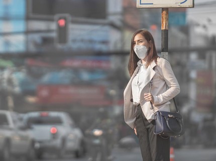 Kurangi Polusi Jakarta, Hybrid Working Wajib Bagi ASN, Imbauan untuk Pekerja Swasta