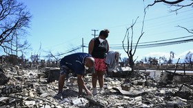 Situasi Terkini Kebakaran Hutan Hawaii: 99 Tewas, Sirene Tak Berfungsi