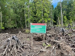Kepala Resort KSDA III Bintuni Jadi Tersangka Penipuan Alih Fungsi Lahan