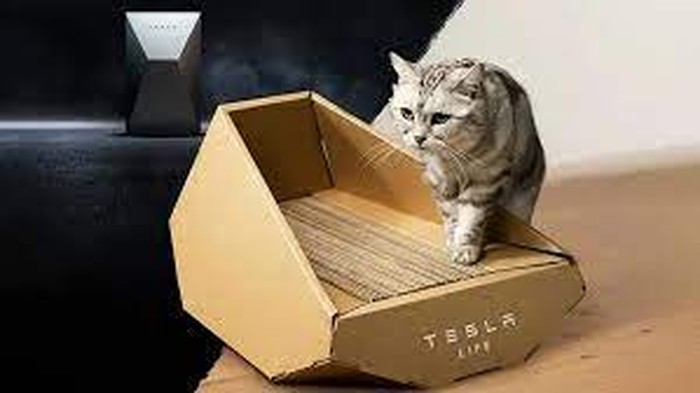 Tesla menjual tempat tidur kucing