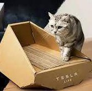 Tesla Diduga Plagiasi Desain Rumah Kucing dari Bisnis Kecil Asal Taiwan, Mirip Banget?
