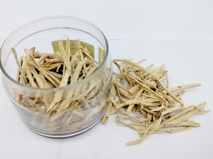 Mengenal Pulosari, Tanaman Herbal yang Bisa Atasi Demam