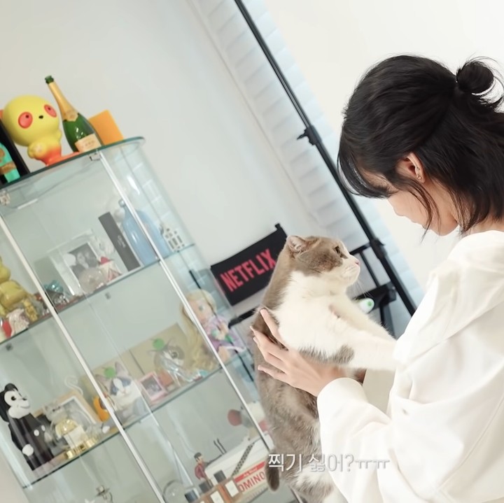<p>Kali ini, Lisa ingin membagikan aktivitasnya bersama para kucing. "Hari ini aku ingin melakukan <em>self photoshoot</em> dengan bayi-bayiku," ucap Lisa. (Foto: YouTube Lilifilm Official)</p>