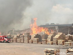 Pabrik Kayu Terbesar di Ciamis Kebakaran!