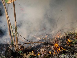 Bakar Sampah Sembarangan di Kota Tangerang Bisa Didenda Rp 50 Juta!