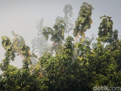 Hukum Bakar Sampah Sampai Ganggu Tetangga dalam Islam