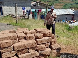 Hendak Bangun Rumah, Warga Dieng Temukan Ratusan Batu Candi