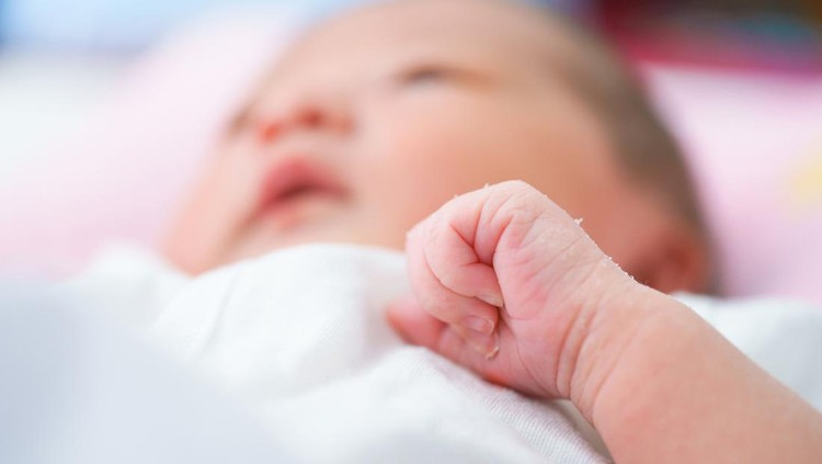 Ilustrasi bayi