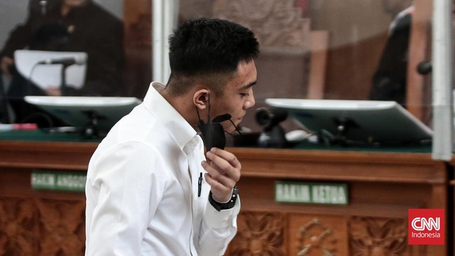 Jaksa menyebut penganiayaan oleh Mario Dandy telah menyebabkan David mengalami kerusakan otak dan amnesia. Mario juga disebut telah memutarbalikkan fakta.