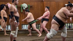 FOTO: Sumo Jadi Daya Tarik Wisatawan di Jepang