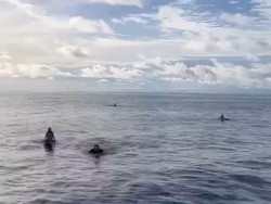 WN Australia yang Hilang Ditemukan di Atas Papan Selancar di Tengah Laut