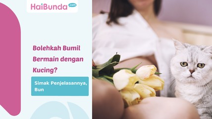 Detik Network