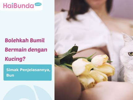Bolehkah Bumil Bermain dengan Kucing? Simak Penjelasannya, Bun