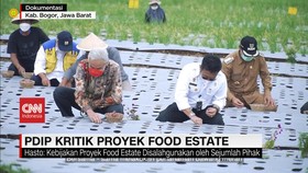 VIDEO: PDIP Kritik Proyek Food Estate