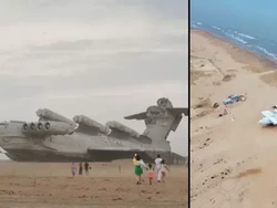 Kisah Monster Laut Utka yang Dulu Ditakuti AS