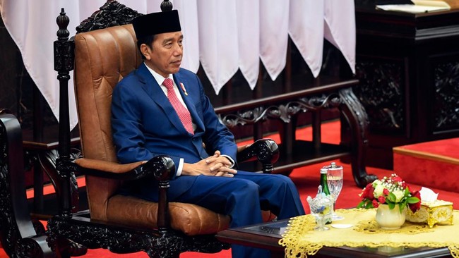 Rommy PPP mengatakan panggilan 'Pak Lurah' sudah menjadi kebiasaan elite partai saat merujuk Presiden RI, bahkan sejak era SBY.