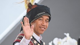 Jokowi Tak Masalah Disebut Bodoh, Plonga-plongo, Tolol, hingga Firaun