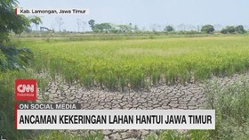 VIDEO: Ancaman Kekeringan Lahan Hantui Jawa Timur