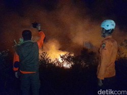 Semak dan Pepohonan di Kaki Gunung Kareumbi Kebakaran!