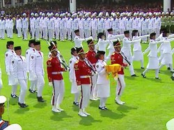 Sosok Lilly Wenda Asal Papua Pegunungan, Paskibraka Pembawa Bendera di Istana