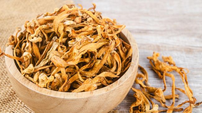 The Health Benefits of Cordyceps Mushroom