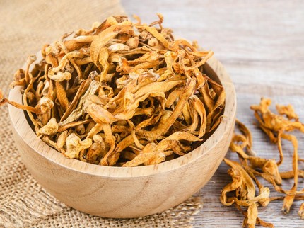 Mengenal Cordyceps, Jamur Langka yang Bisa Menunda Penuaan