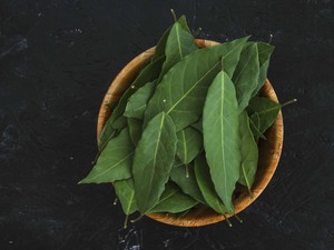 Dianggap Receh di RI, Daun Ini Diburu Jepang hingga Belanda Dianggap Receh di RI, Daun Ini Diburu Jepang hingga Belanda