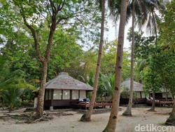 Pulau Tanpa Nyamuk di Utara Jakarta, Pulau Pantara