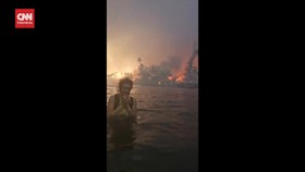 VIDEO: Satu Keluarga di Hawaii Terjun ke Laut Hindari Kebakaran