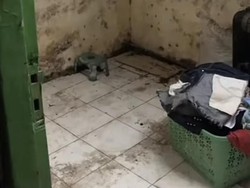 Viral Renovasi Kamar Kotor Budget Rp 300 Ribu Hasilnya Bikin Kaget Jadi Begini