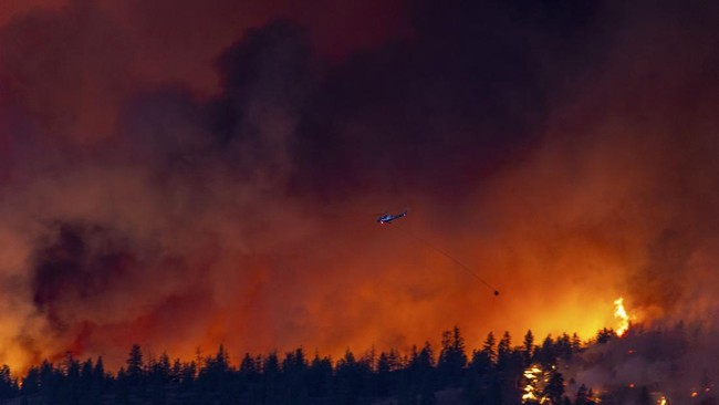 Evakuasi Massal Saat Kebakaran Hutan Mengamuk di Kanada, 9.000 Jiwa Terpaksa Tinggalkan Rumah