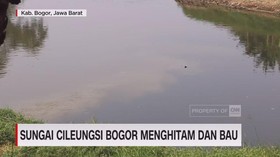 VIDEO: Sungai Cileungsi Bogor Menghitam dan Bau