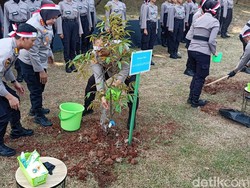 Aksi Polisi Tanam Ribuan Pohon demi Perbaiki Kualitas Udara Jakarta