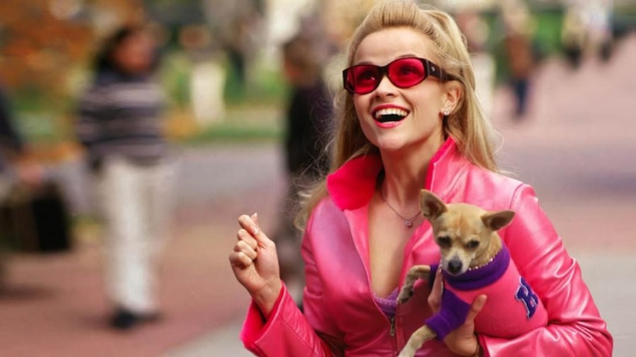 Bruise dalam film legally blonde&sol; Foto&colon; Pinterest&period;com&sol; Adventureine