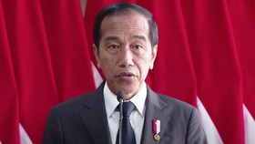 Jokowi Minta Bank Dunia Wujudkan Sistem Keuangan Global Lebih Adil