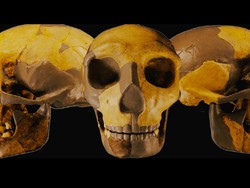 Teka-teki Tengkorak Manusia Kuno Misterius
