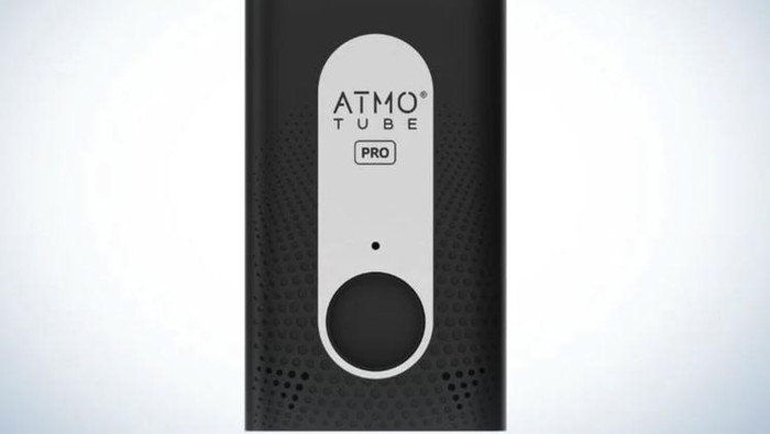 Atmotube Pro Portable