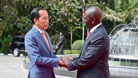 Jokowi Ungkap Rencana Kerja Sama dengan Kenya di Tiga Sektor