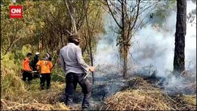 VIDEO: Kebakaran Landa Kawasan Hutan Gunung Semeru