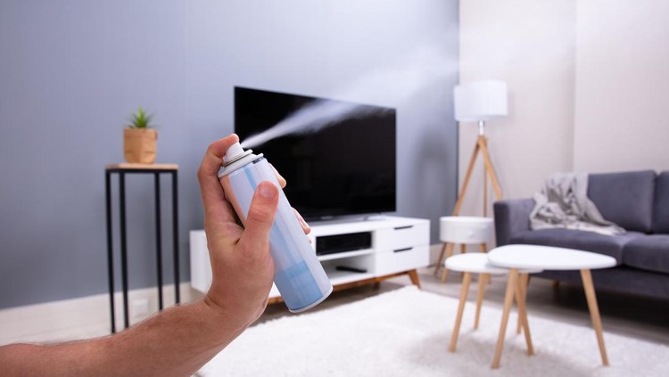 Close-up Of A Person's Hand Spraying Air Freshener In Living Room
