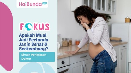 Detik Network