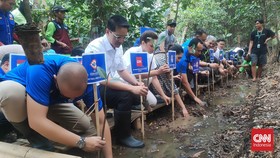 Panitia FIBA World Cup Gelar Aksi Tanam Bibit Mangrove di Jakarta