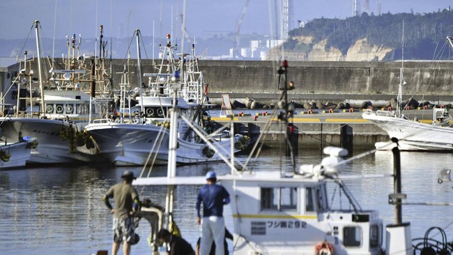 Jepang mengklaim tidak menemukan ikan yang terpapar radioaktif usai pembuangan limbah nuklir Fukushima.