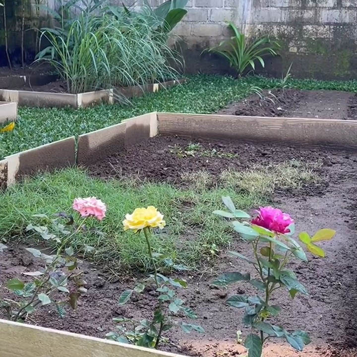 <p>Taman rumah Kimberly di Bali juga digunakan untuk berkebun. Ia menanam beberapa tanaman hias dan bunga seperti mawar. (Foto: Instagram @kimbrlyryder @edward_akbar)</p>