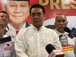 Gerindra soal Revisi UU Pilkada: Prabowo Kedepankan Aspirasi Rakyat